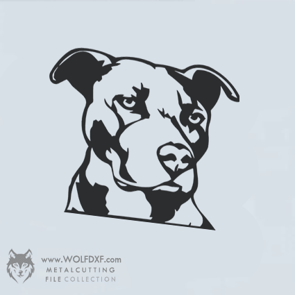 Pitbull dog Wall Art Design D-001